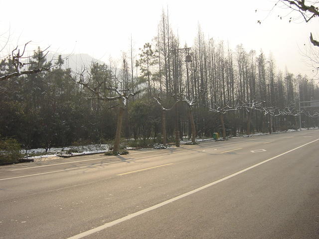 DSC00548