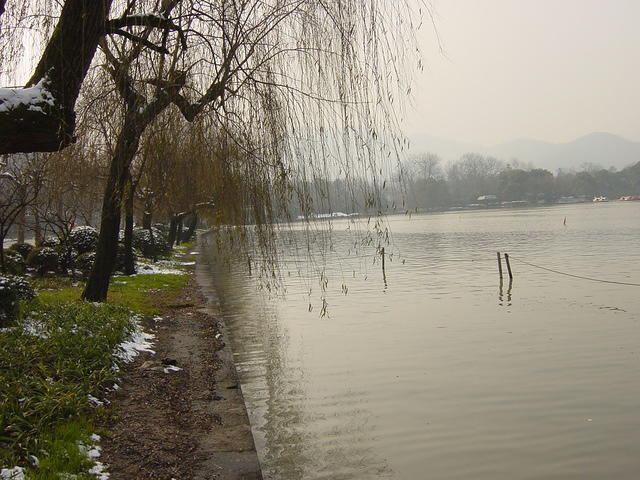 DSC00549