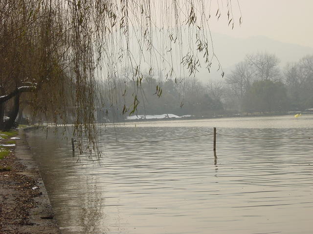 DSC00551