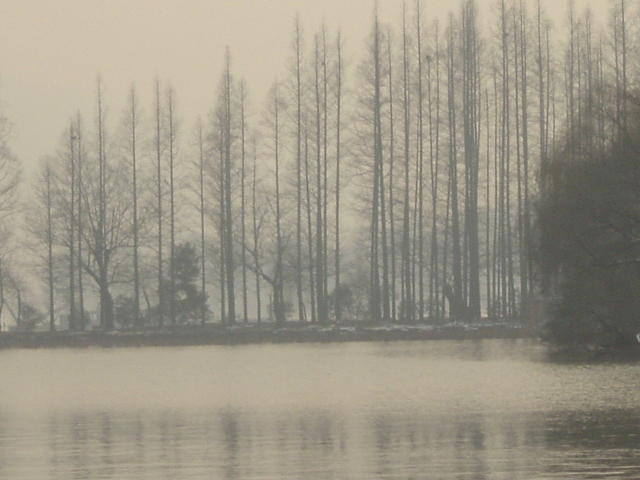 DSC00552