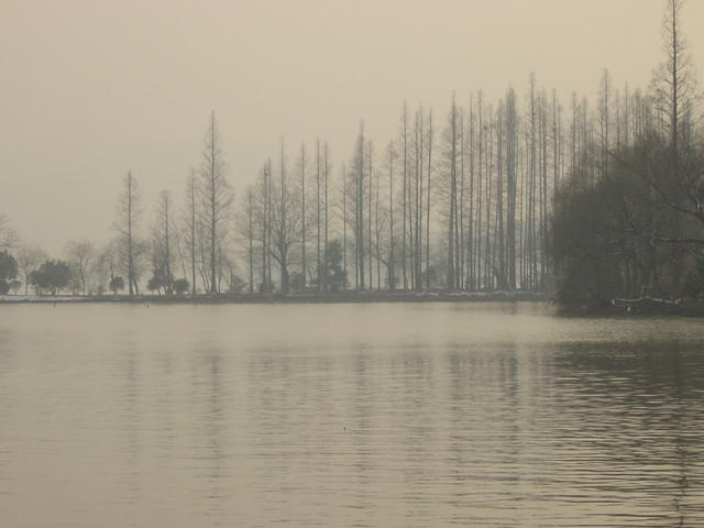 DSC00553