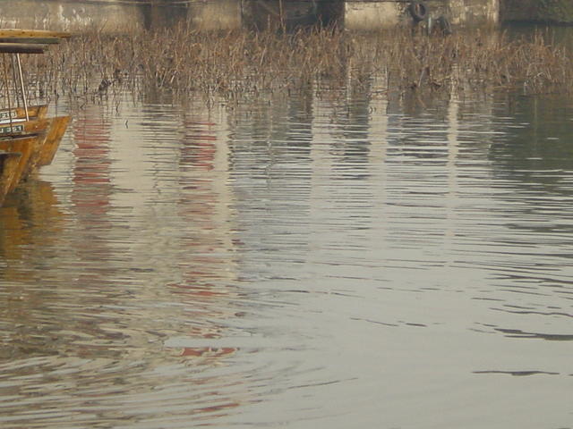 DSC00555