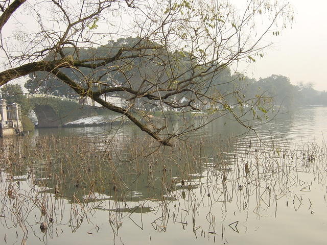 DSC00556