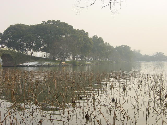 DSC00557