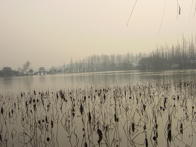 DSC00558