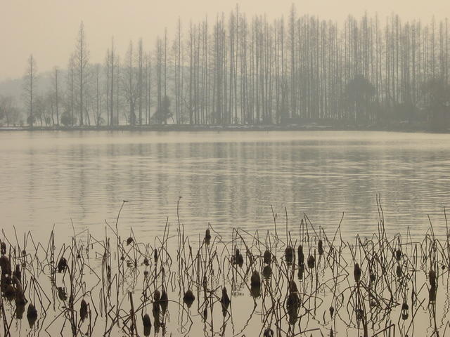DSC00559