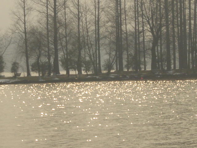 DSC00560
