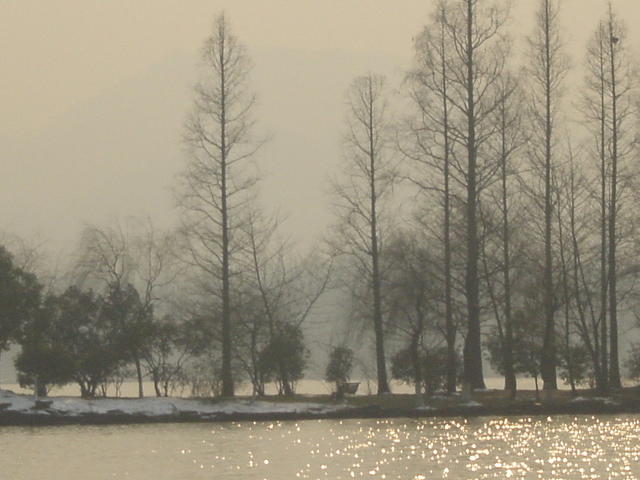 DSC00561