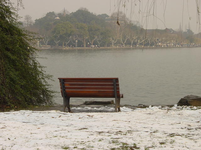 DSC00564