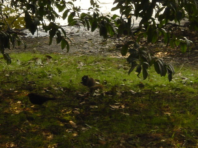 DSC00566