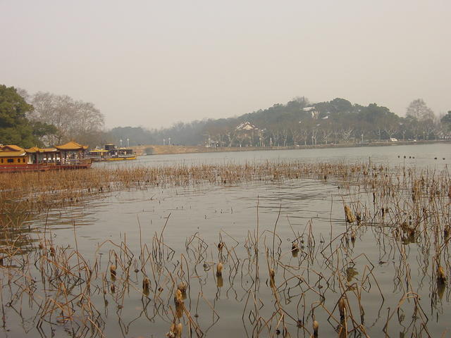 DSC00570