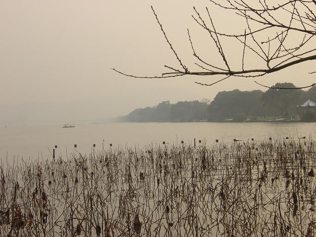 DSC00571