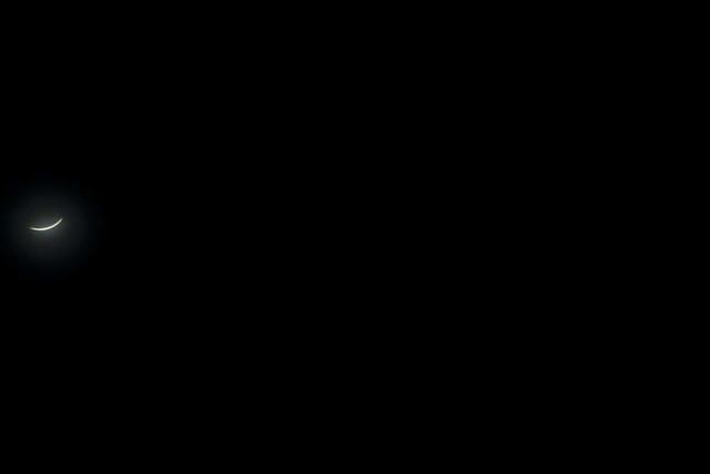 DSC 0054
