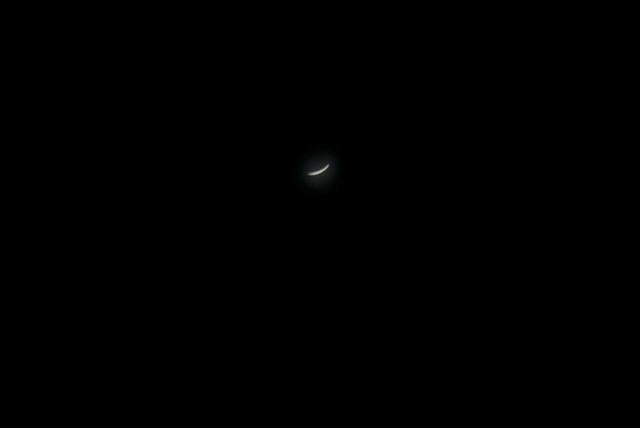 DSC 0056