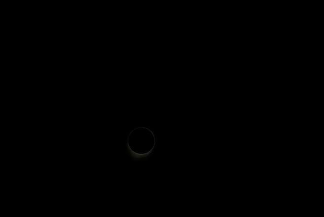 DSC 0087