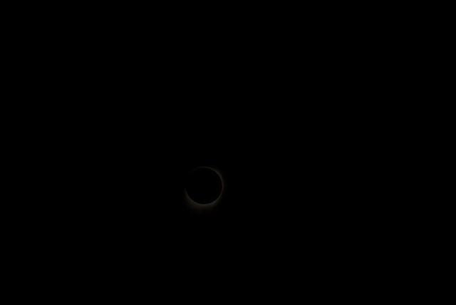 DSC 0092