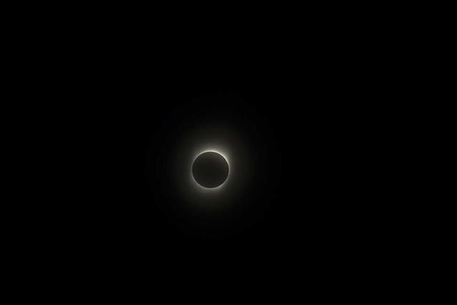 DSC 0099