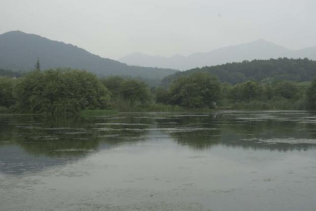 DSC 0001