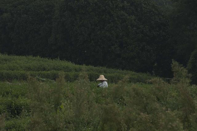 DSC 0005