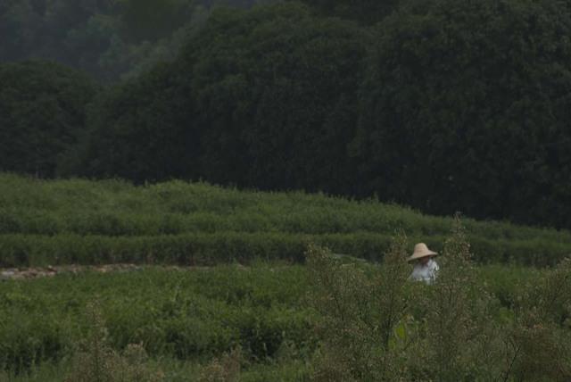 DSC 0006