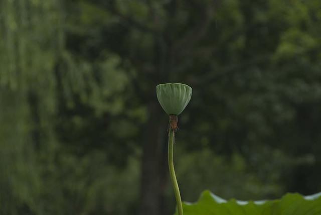 DSC 0019