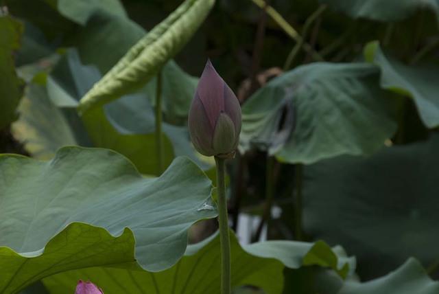 DSC 0028
