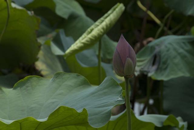 DSC 0029