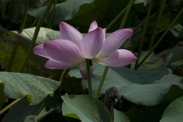 DSC 0053