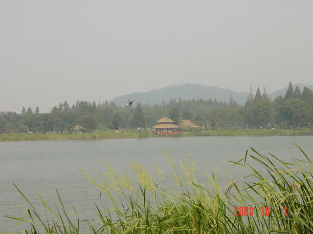 DSC01935