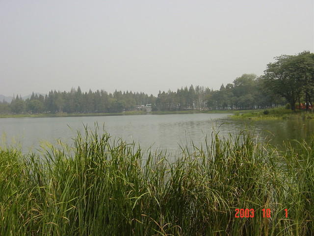 DSC01936
