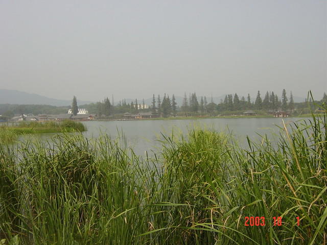 DSC01937