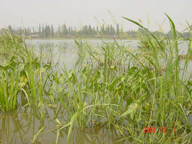 DSC01938