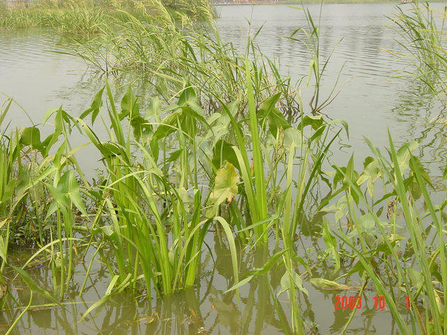 DSC01939