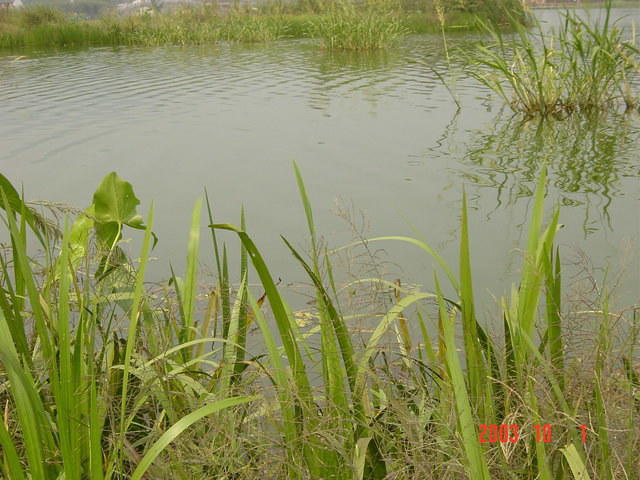 DSC01940