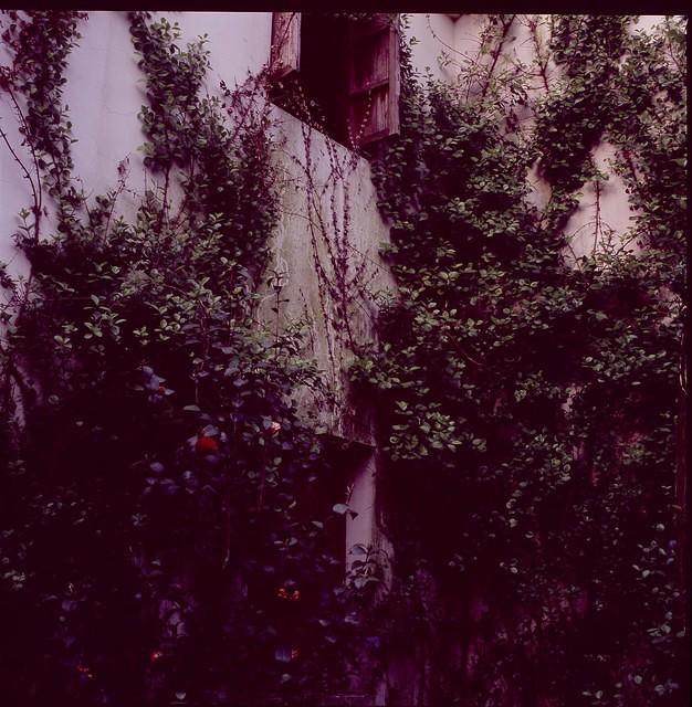 011