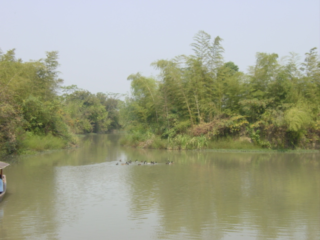 DSC06960