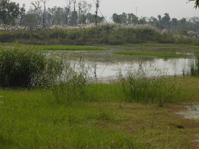 DSC06966