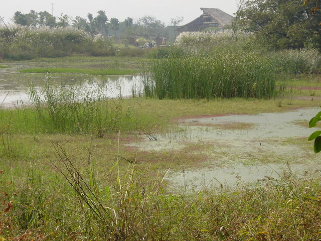 DSC06967