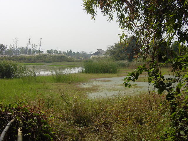 DSC06968