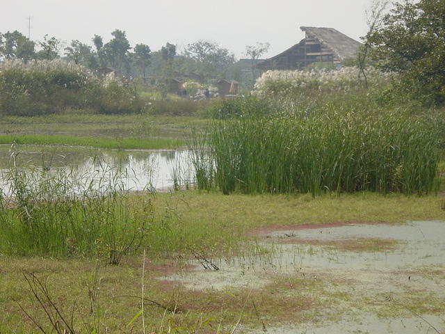 DSC06969