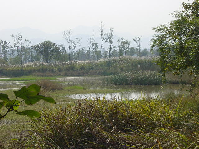 DSC06970