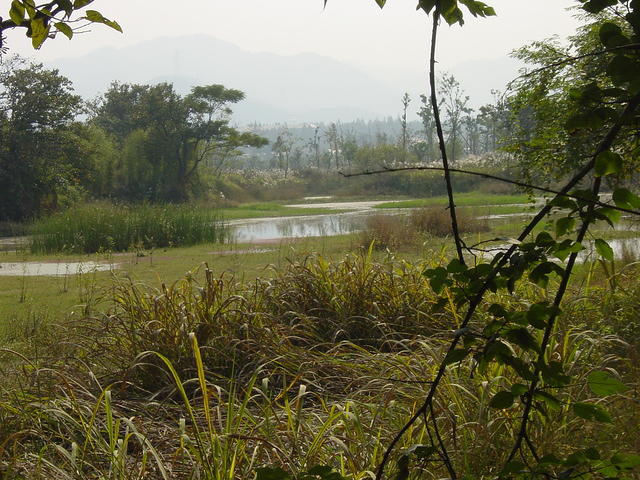DSC06971