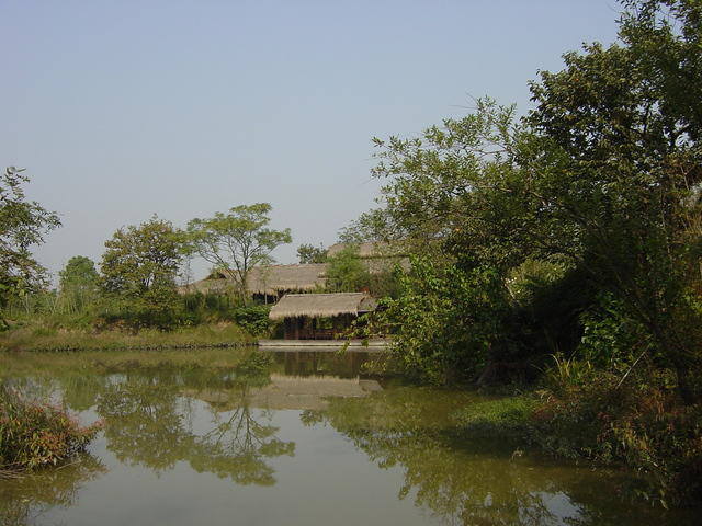 DSC06973