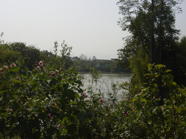 DSC06974
