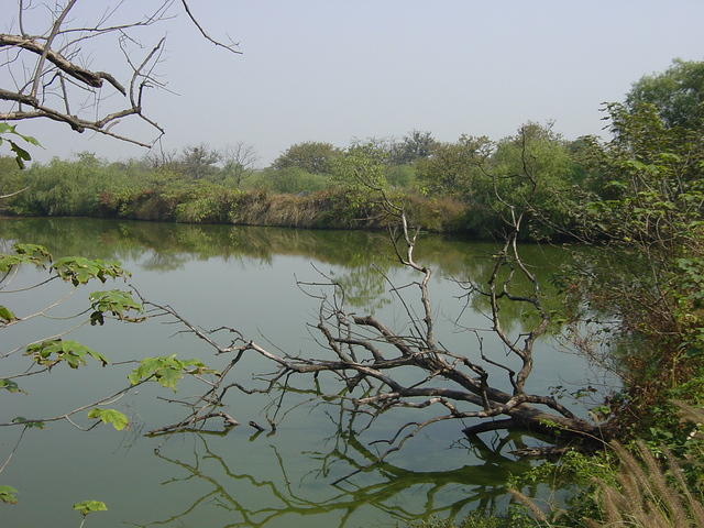 DSC06978