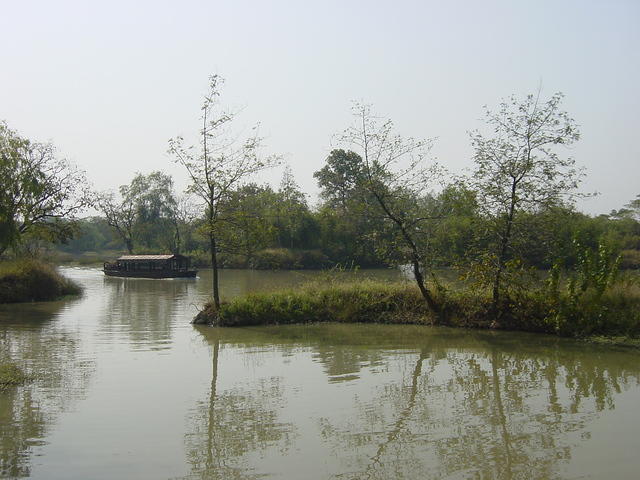 DSC06983
