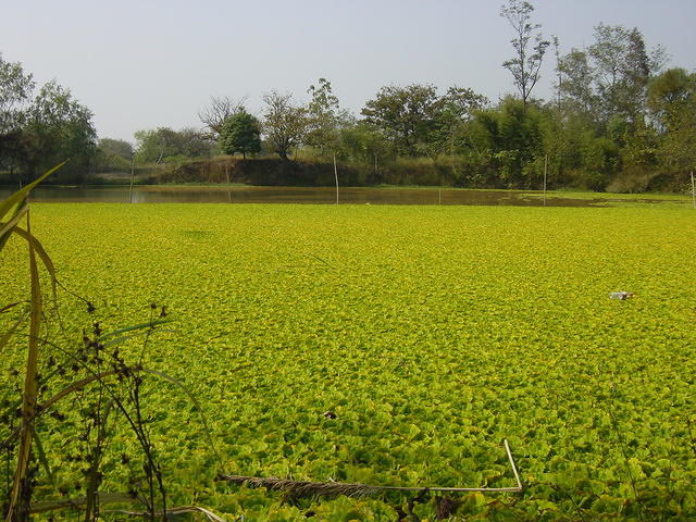 DSC06986