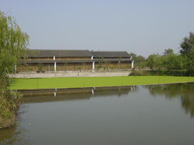 DSC06991