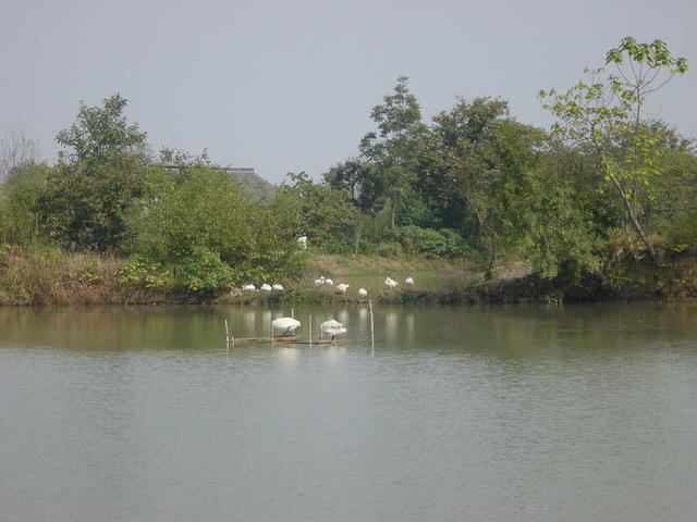 DSC06992