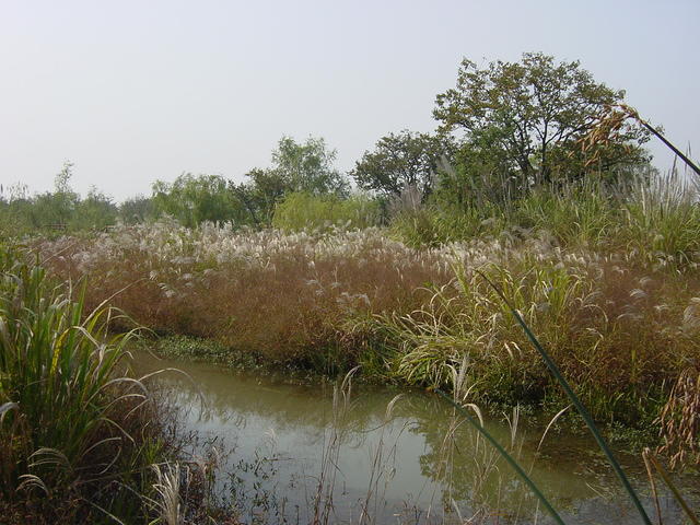 DSC06996